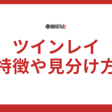 ツインレイとは？出会う人の特徴や見分け方、前兆を解説