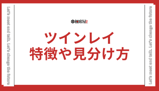 ツインレイとは？出会う人の特徴や見分け方、前兆を解説