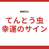 てんとう虫のスピリチュアルな意味を徹底解説！幸運のサインを見逃すな