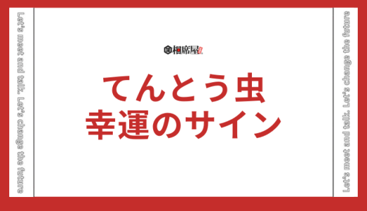てんとう虫のスピリチュアルな意味を徹底解説！幸運のサインを見逃すな